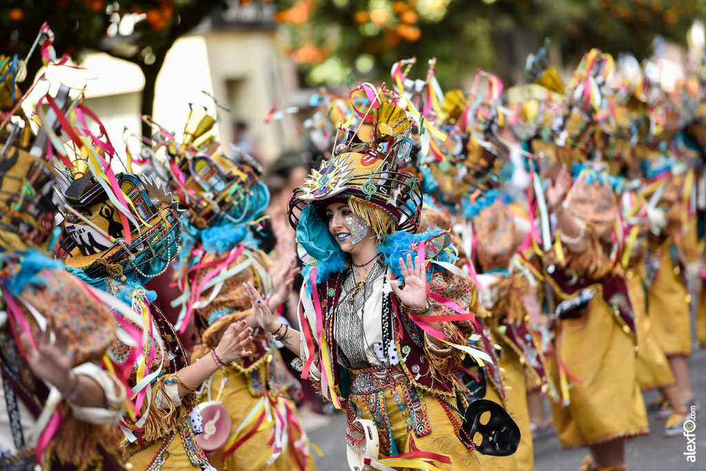 Comparsa Donde vamos la liamos - Desfile de Comparsas Carnaval de Badajoz 2019 9