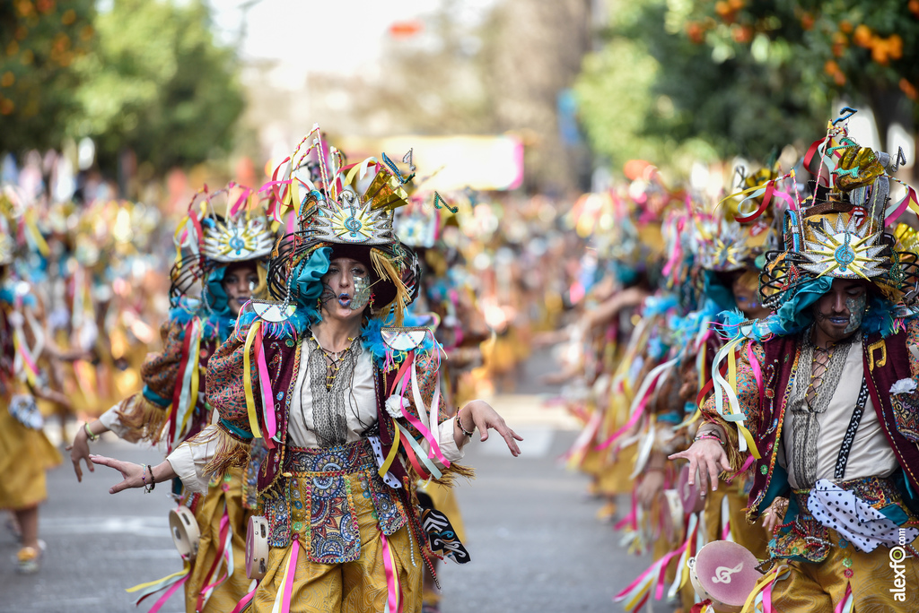 Comparsa Donde vamos la liamos - Desfile de Comparsas Carnaval de Badajoz 2019 6