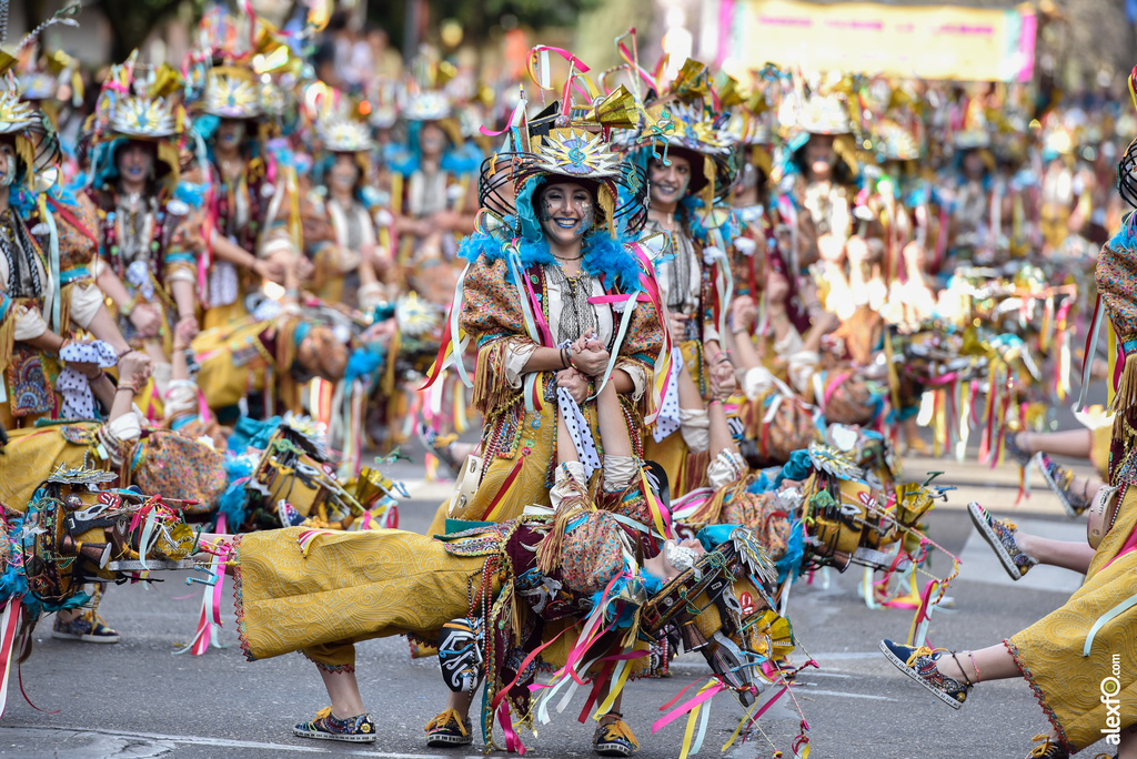 Comparsa Donde vamos la liamos - Desfile de Comparsas Carnaval de Badajoz 2019 12