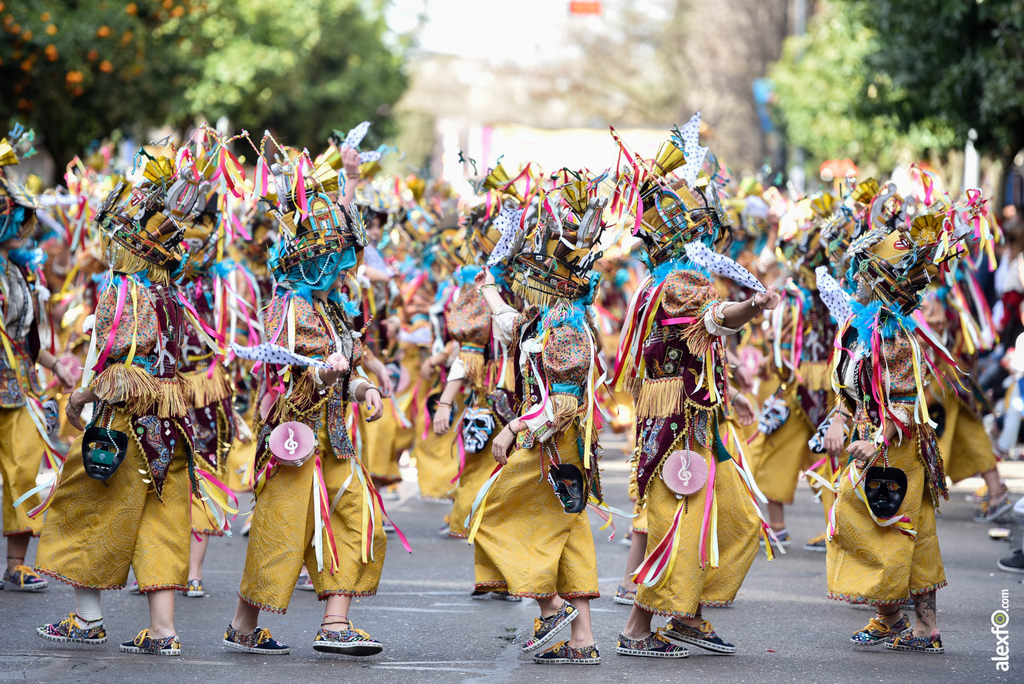 Comparsa Donde vamos la liamos - Desfile de Comparsas Carnaval de Badajoz 2019 14