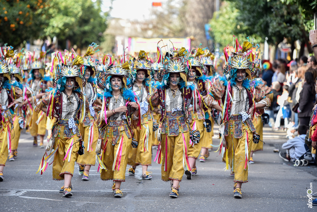 Comparsa Donde vamos la liamos - Desfile de Comparsas Carnaval de Badajoz 2019 15