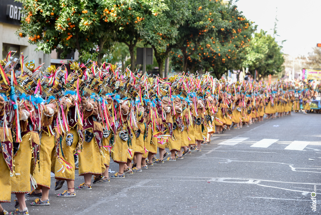 Comparsa Donde vamos la liamos - Desfile de Comparsas Carnaval de Badajoz 2019 16