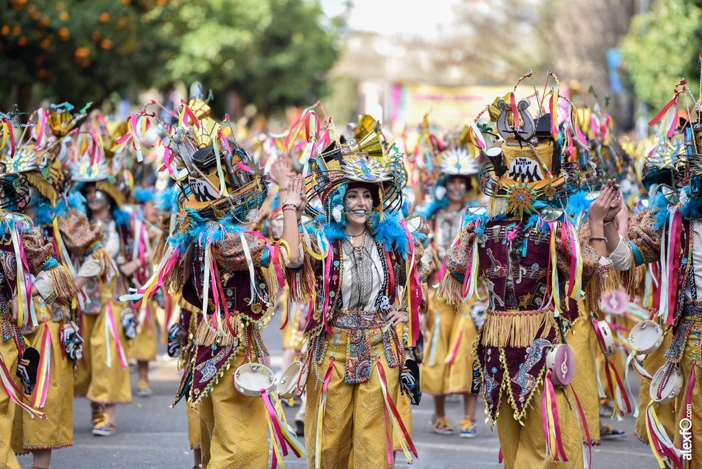 Comparsa Donde vamos la liamos - Desfile de Comparsas Carnaval de Badajoz 2019 17