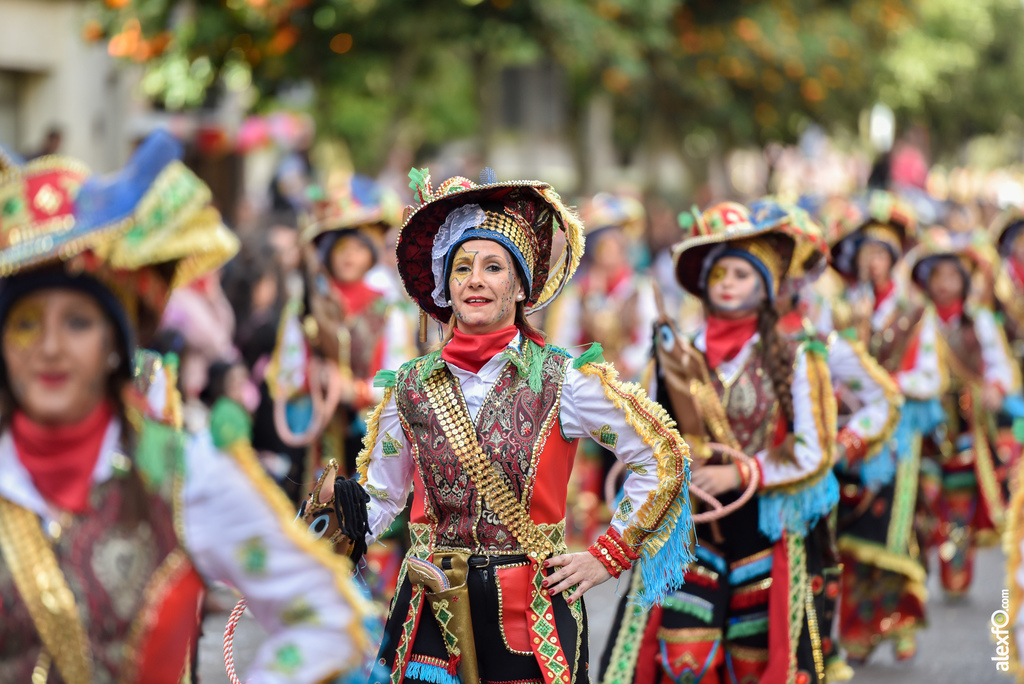 Comparsa Los Lorolos - Desfile de Comparsas Carnaval de Badajoz 2019 8