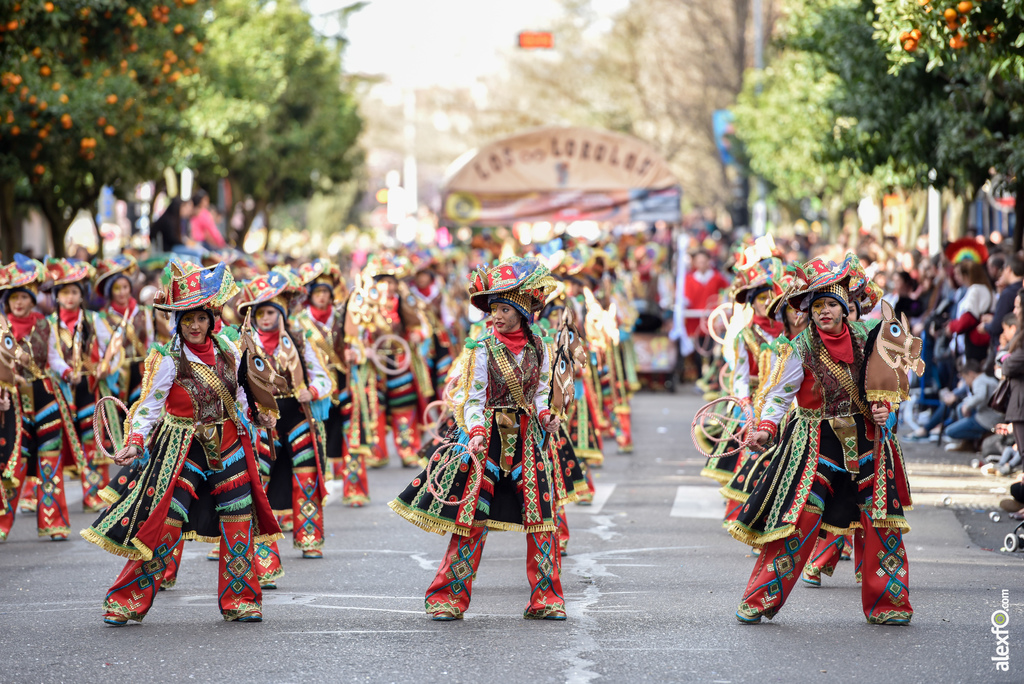 Comparsa Los Lorolos - Desfile de Comparsas Carnaval de Badajoz 2019 9