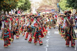 Comparsa los lorolos desfile de comparsas carnaval de badajoz 2019 11 dam preview