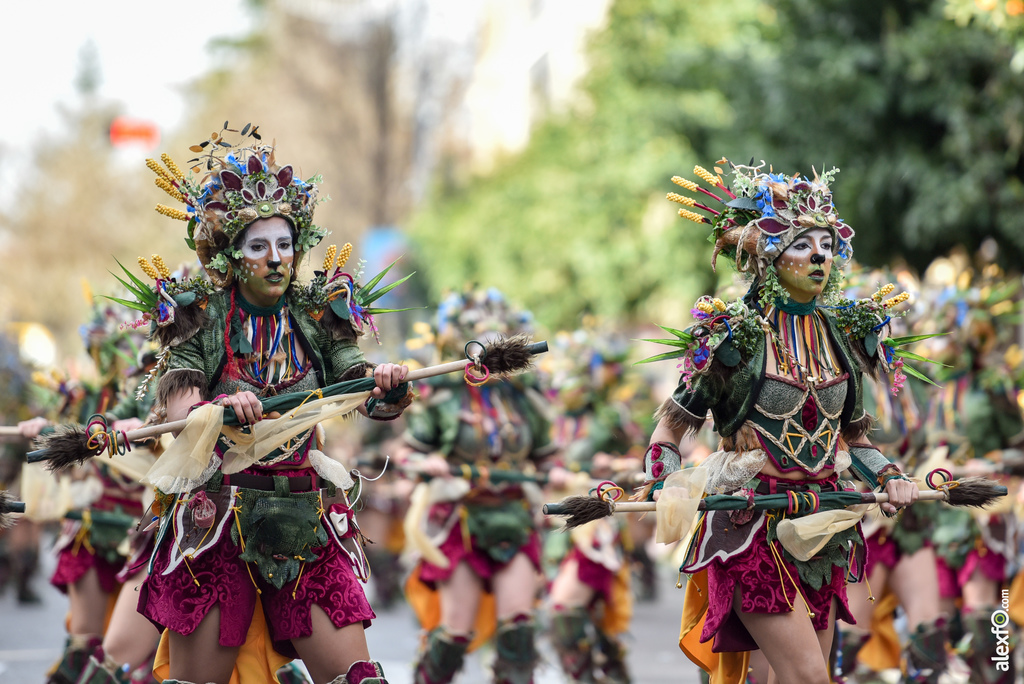 Comparsa Anuva - Desfile de Comparsas Carnaval de Badajoz 2019 6
