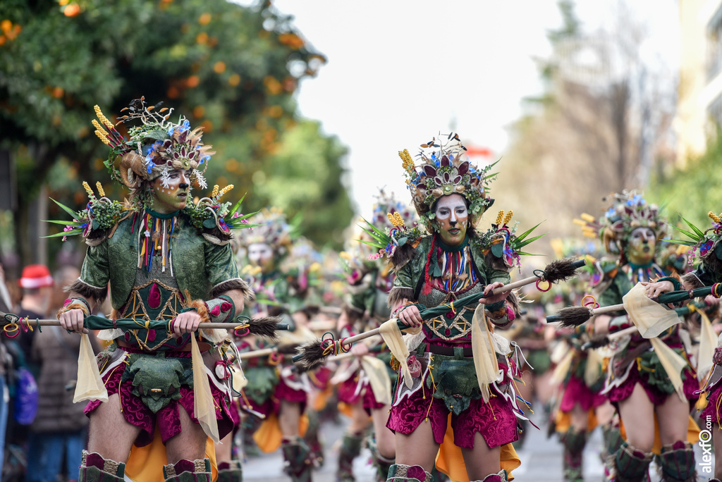 Comparsa Anuva - Desfile de Comparsas Carnaval de Badajoz 2019 8