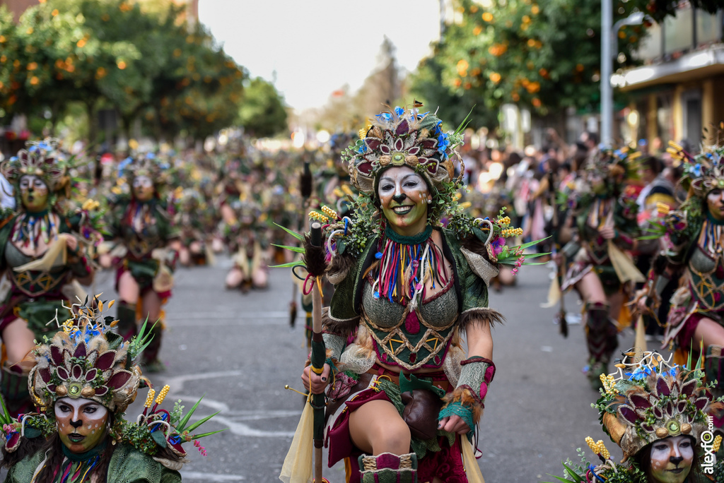 Comparsa Anuva - Desfile de Comparsas Carnaval de Badajoz 2019 9