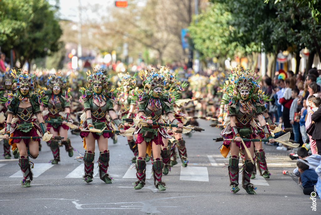 Comparsa Anuva - Desfile de Comparsas Carnaval de Badajoz 2019 13