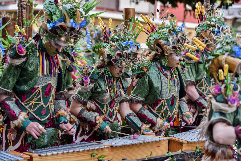 Comparsa Anuva - Desfile de Comparsas Carnaval de Badajoz 2019 20