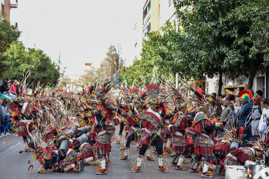 Comparsa El Vaivén - Desfile de Comparsas Carnaval de Badajoz 2019 22