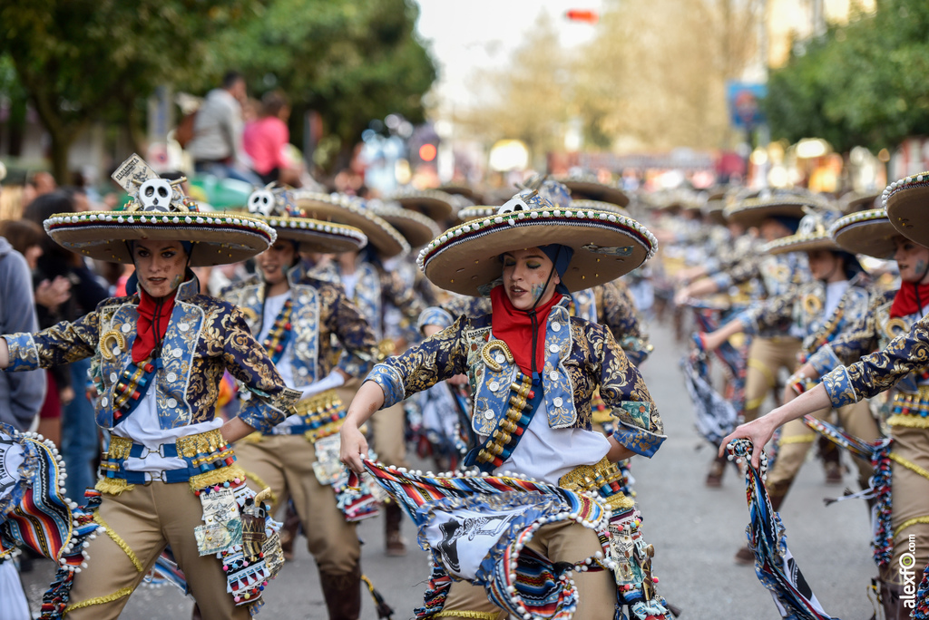 Comparsa Marabunta - Desfile de Comparsas Carnaval de Badajoz 2019 8