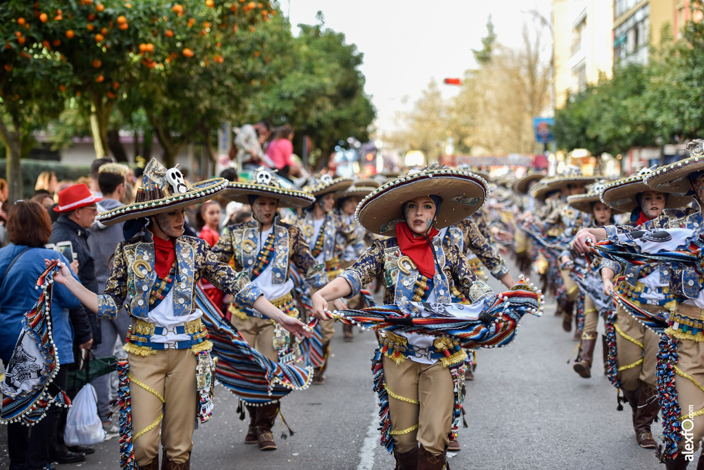 Comparsa Marabunta - Desfile de Comparsas Carnaval de Badajoz 2019 13
