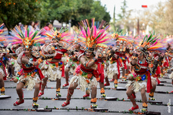 Comparsa umsuka imbali desfile de comparsas carnaval de badajoz 2019 13 dam preview