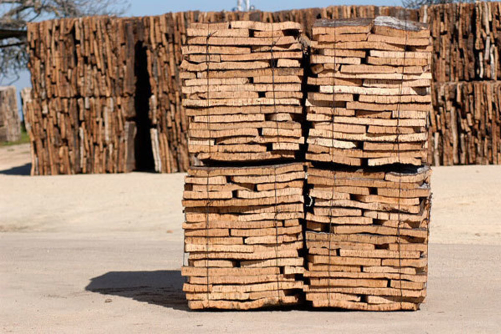 Investigadores de CICYTEX prevén una campaña de corcho en Extremadura con una producción media de entre 20.000 y 23.000 toneladas