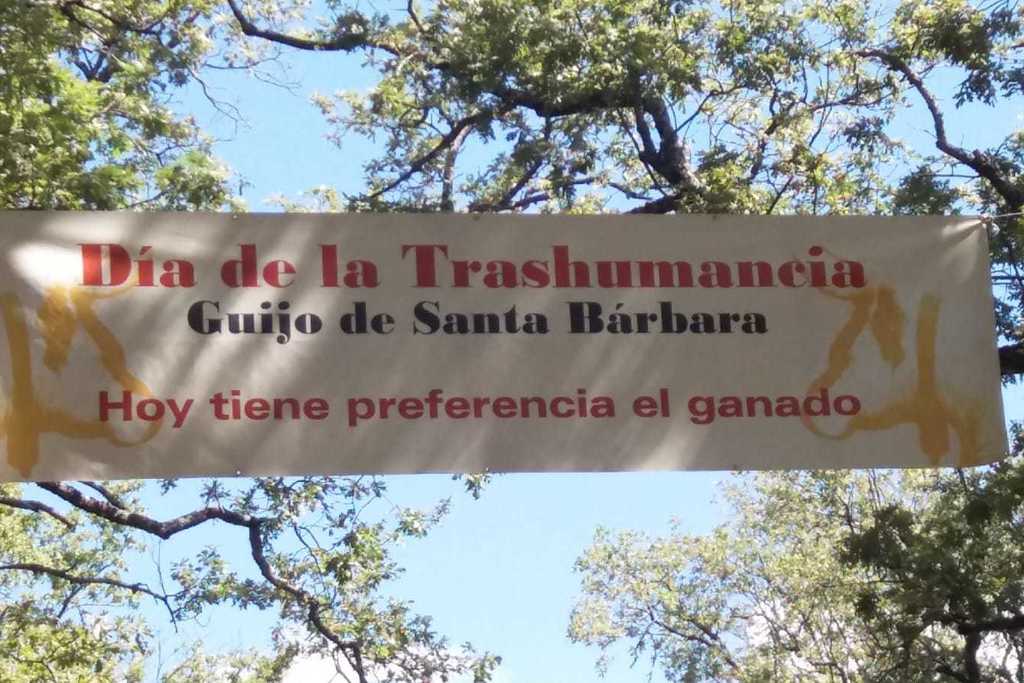 La Junta de Extremadura colabora en la celebración de la XII edición del Día de la Trashumancia