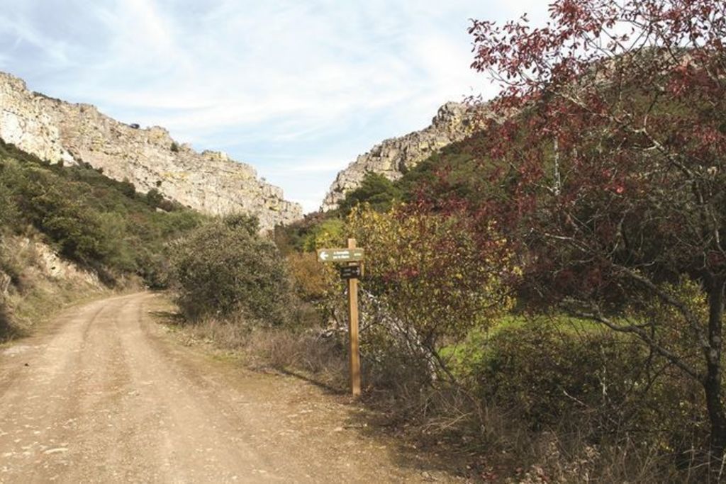 Desarrollo Rural saca a licitación el acondicionamiento de la senda peatonal en el Cordel Mesteños o de Valdecubos y el Cordel, en Almendral y Nogales