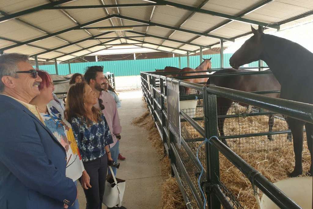 La consejera Begoña García resalta en Torrejoncillo la profesionalización del sector equino extremeño