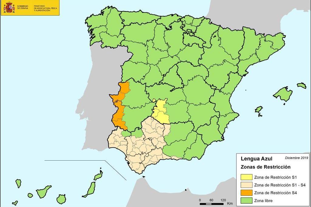 Extremadura queda libre del serotipo 1 de lengua azul y mantiene la vacunación obligatoria del 4 en algunas comarcas