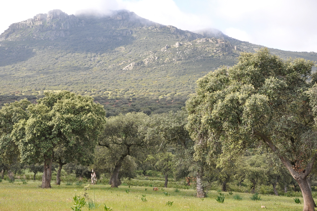 Naturaleza y Vino - Primavera Enogastronómica - Ruta del Vino Ribera del Guadiana 2016
