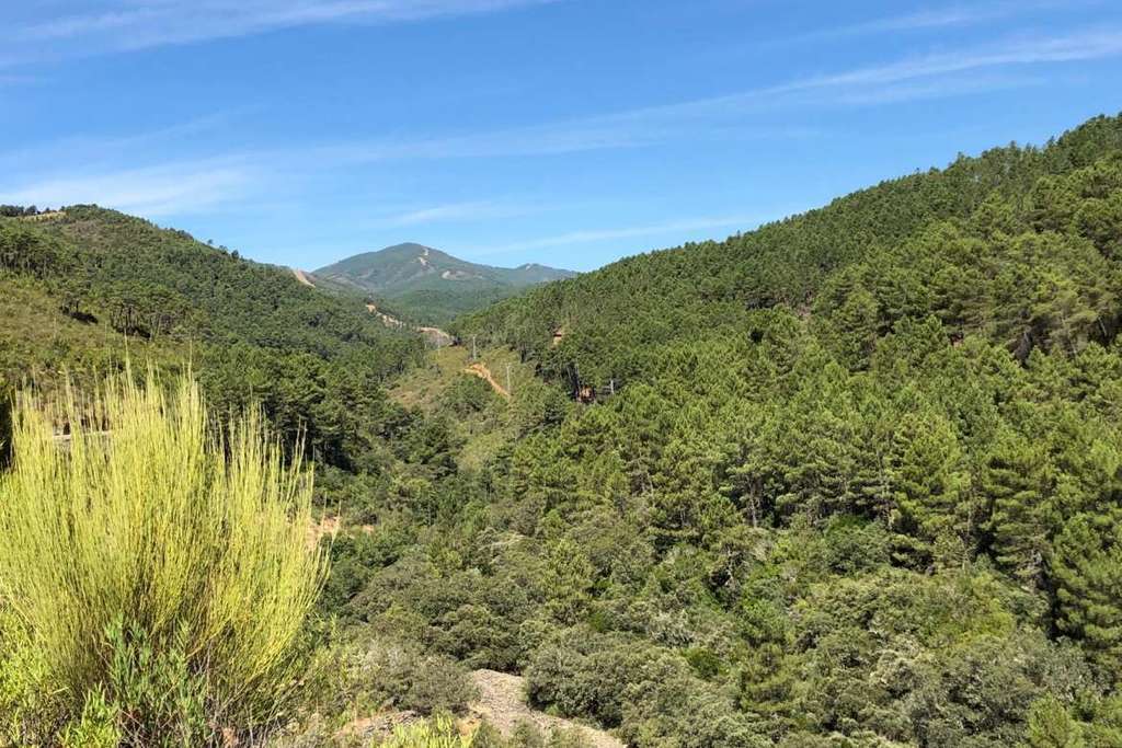 La Junta de Extremadura abona más de 3,5 millones de euros de las ayudas a la forestación de tierras agrarias