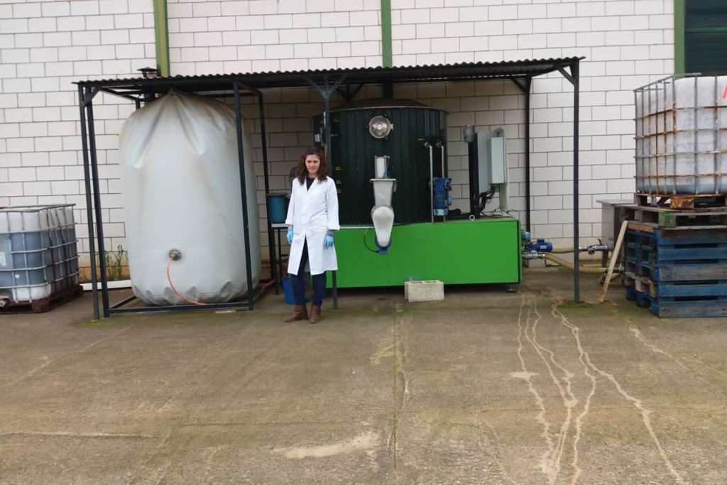 Una investigadora de CICYTEX propone combinar sustratos de cultivos energéticos y residuos agroganaderos para optimizar la generación de biogás