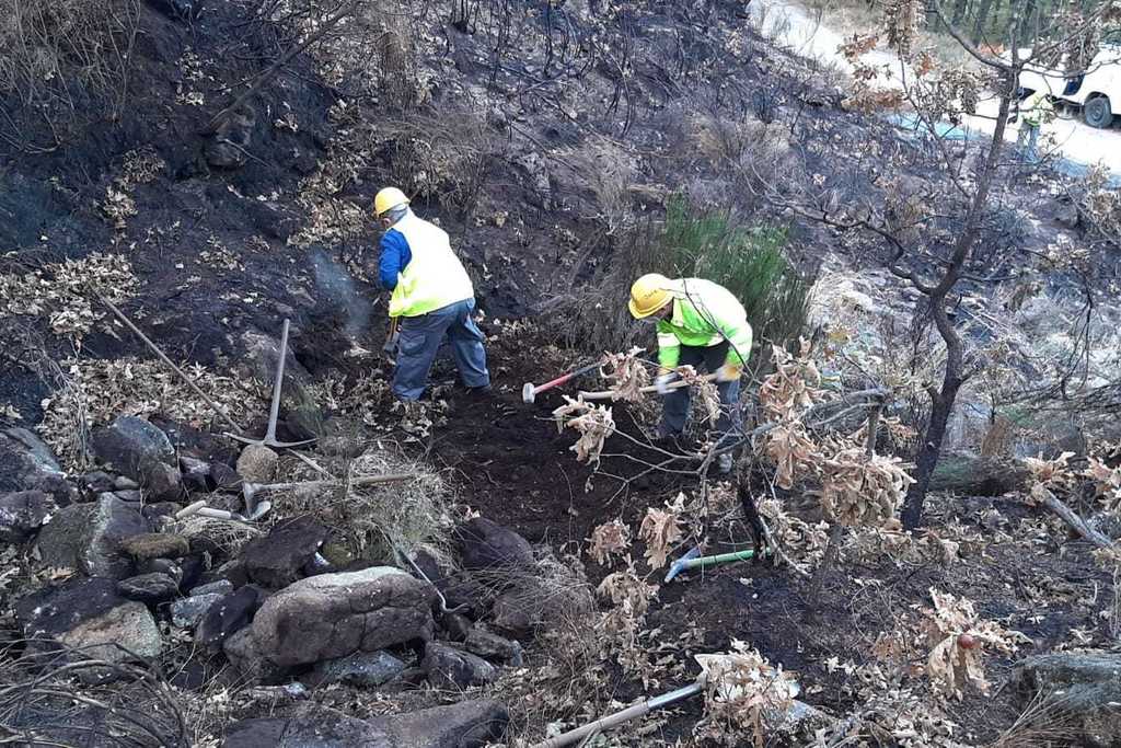 La Junta acomete labores de corrección hidrológica forestal en Garganta la Olla, tras los incendios del pasado verano