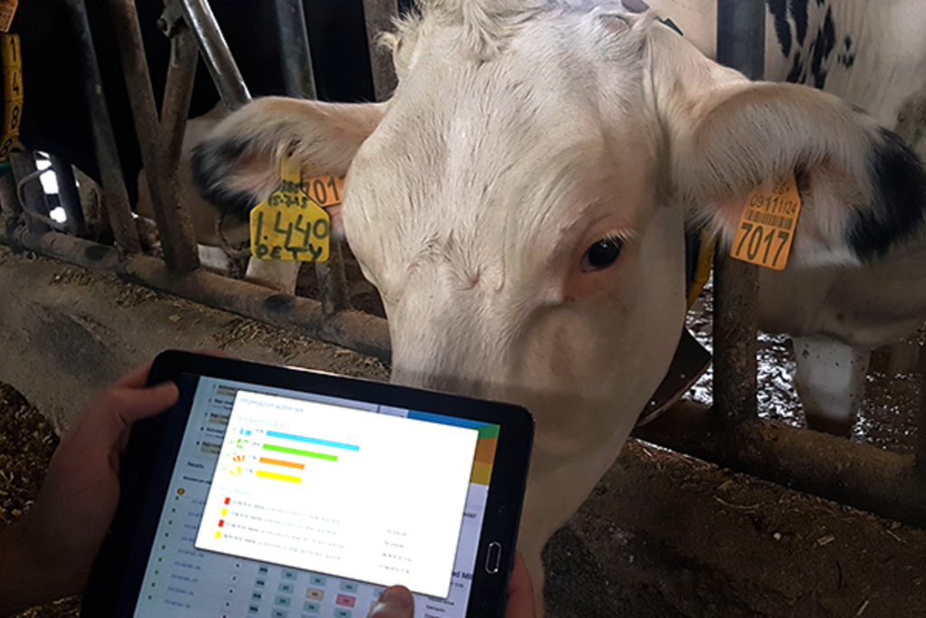 Agenda Digital celebrará el jueves una jornada con la que analizar las tecnologías que hacen posible la ganadería 4.0