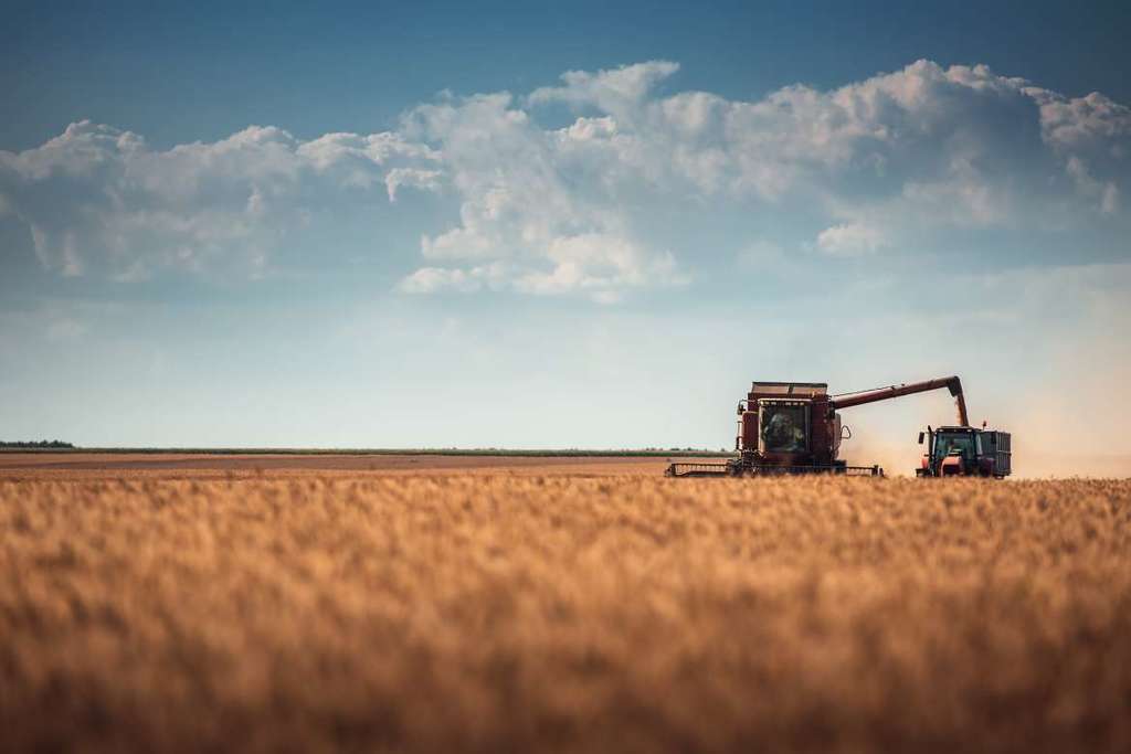 La Junta de Extremadura convoca las ayudas a la creación de empresas para jóvenes agricultores, dotadas con 26 millones de euros