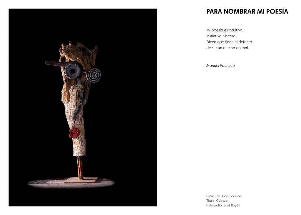 'Para nombrar mi poesía'. Poema de Manuel Pacheco.