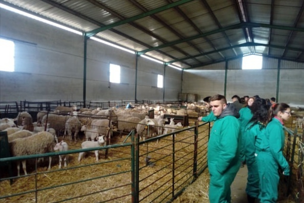 El Centro de Formación del Medio Rural de Moraleja oferta tres ciclos de FP en ganadería y sector agropecuario