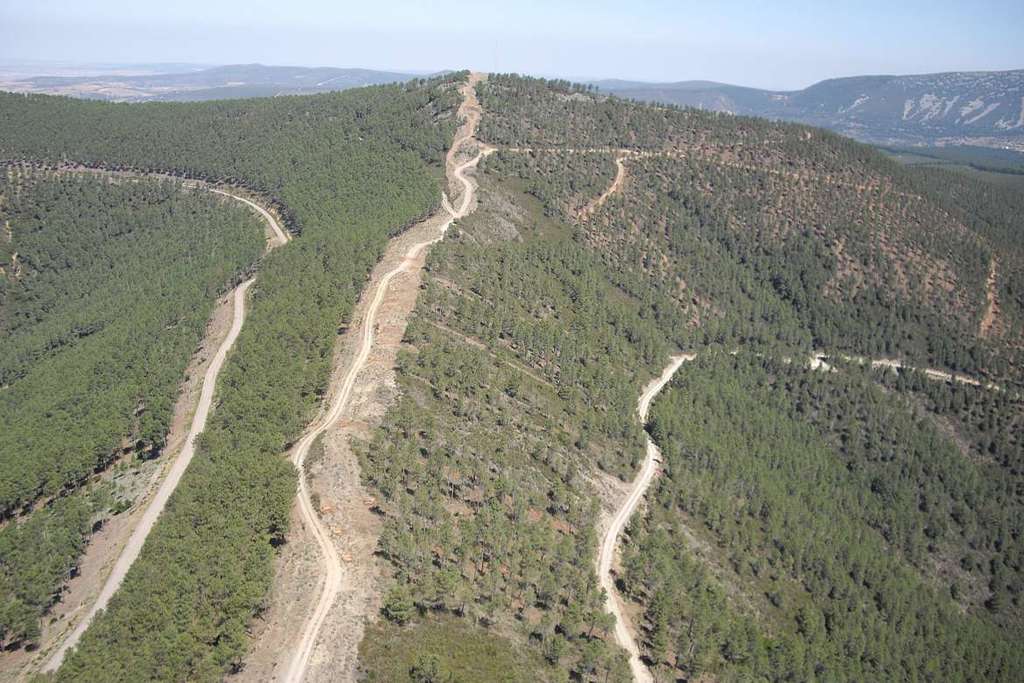 La Junta de Extremadura se suma a Motor Verde, el mayor proyecto de reforestación de España para impulsar la compensación de emisiones