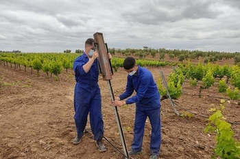 La Junta publica la convocatoria de 5 millones de euros en ayudas para inversiones en apoyo al sector vitivinícola