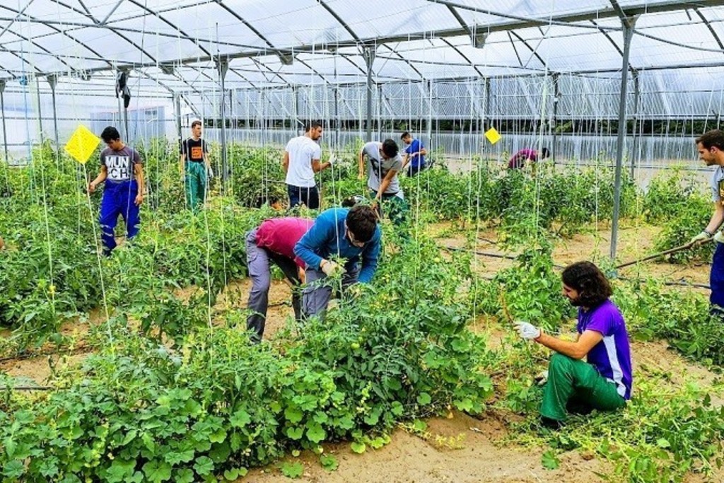Agricultura resuelve 70 expedientes relativos a la convocatoria 2019 de las ayudas a la creación de empresas para jóvenes agricultores