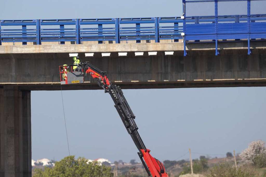La Junta de Extremadura instala cajas nido y reclamos de vencejo real en el puente de la autovía A5 a su paso por Mérida
