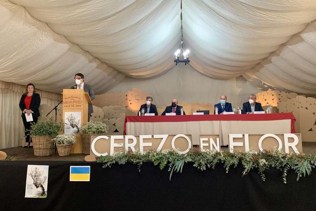 Vergeles destaca la importancia del Cerezo en Flor | extremadura .com