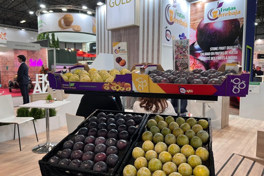 Begoña García apoya al sector hortofrutícola de la región en una nueva edición de la Fruit Attraction