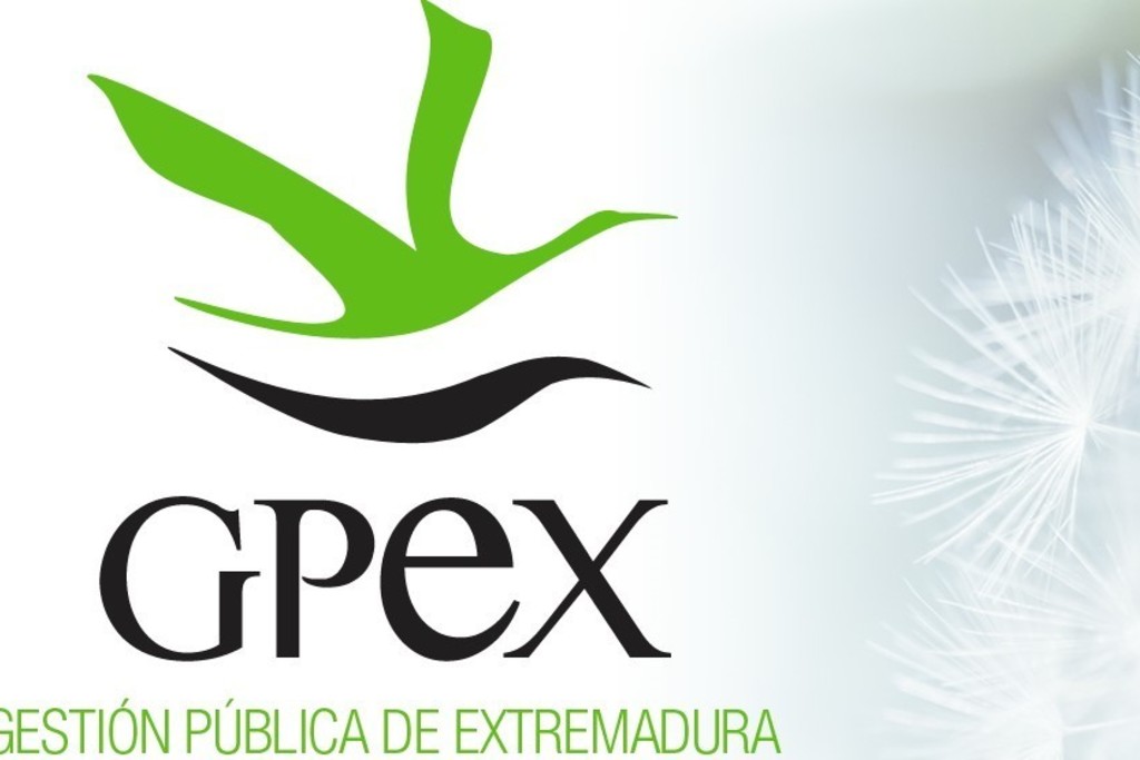 GPEX convoca una oferta de empleo de técnico en Trabajo Social