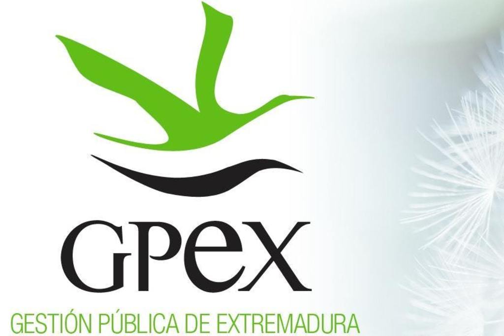 GPEX oferta tres plazas de empleo para perfiles relacionados con la Informática