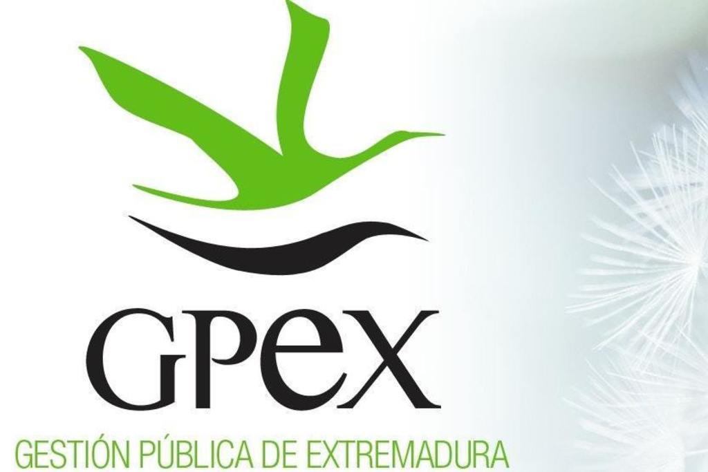 GPEX oferta cuatro plazas de empleo para diferentes perfiles