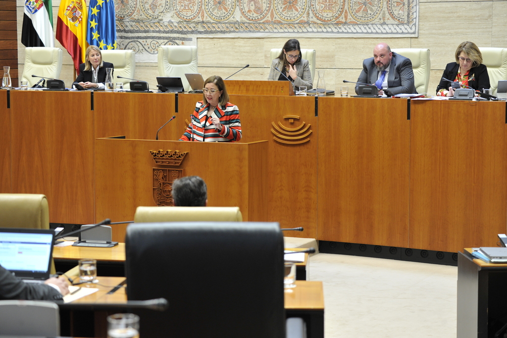 Mercedes Morán defiende en la Asamblea el desarrollo de las renovables y la continuidad de la Central Nuclear de Almaraz
