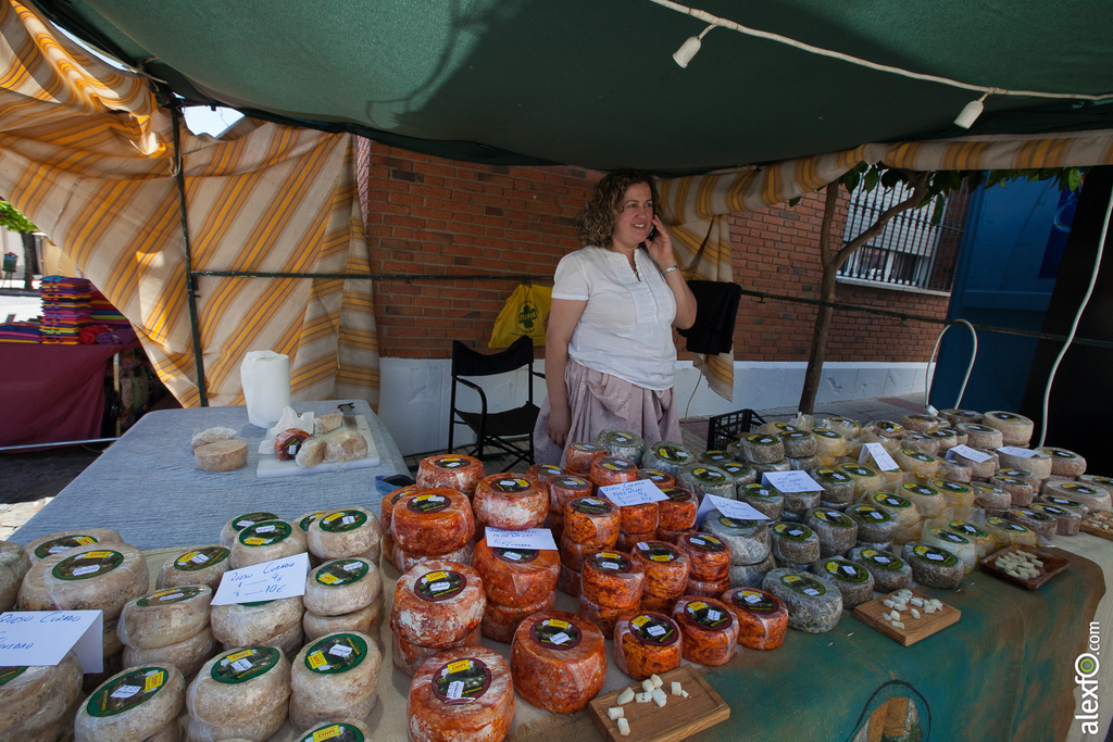 Ambiente - Mercado productos locales - Batalla de la Albuera 2015 - Badajoz batalla albuera (11 de 34)