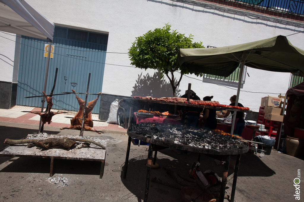 Ambiente - Mercado productos locales - Batalla de la Albuera 2015 - Badajoz batalla albuera (13 de 34)