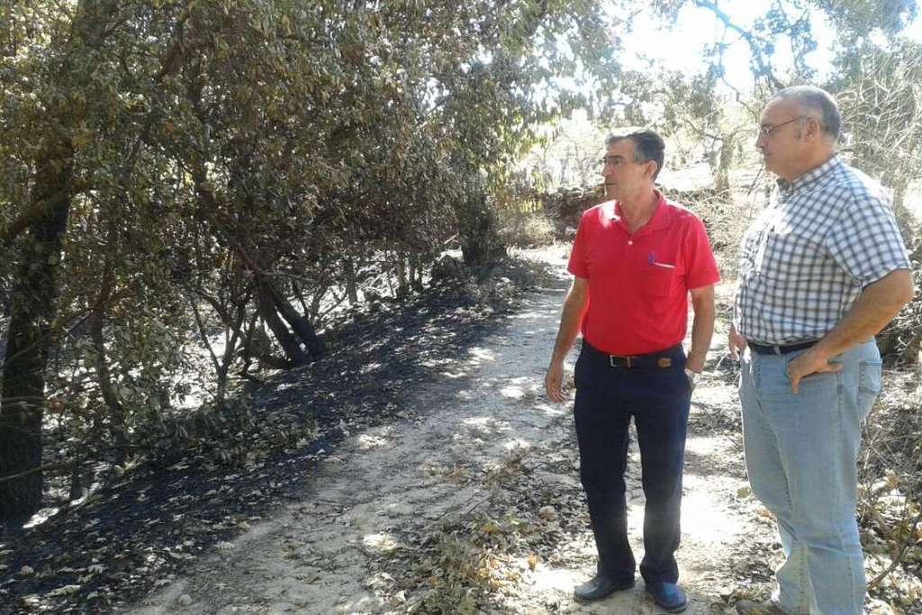 Técnicos de Desarrollo Rural evalúan la situación de las infraestructuras rurales de Perales del Puerto afectadas por el incendio de Sierra de Gata