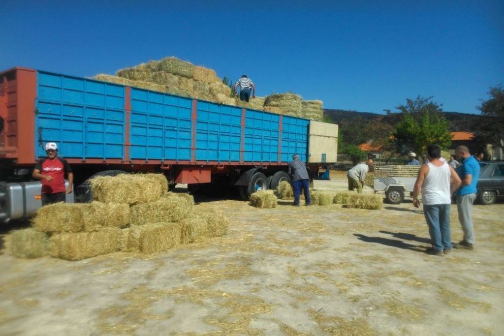 La Diputación hace la tercera entrega de heno a ganaderos afectados por el incendio en Sierra de Gata