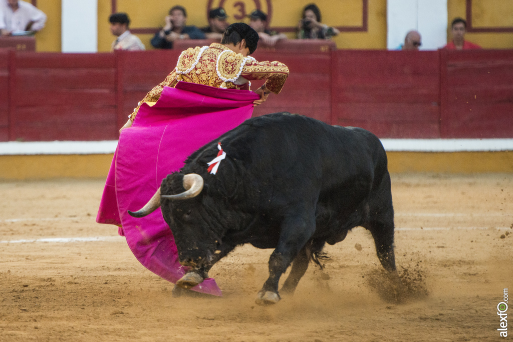Miercoles toros San Juan 2016 17