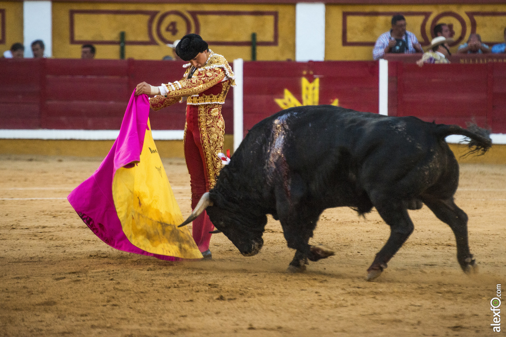 Miercoles toros San Juan 2016 18