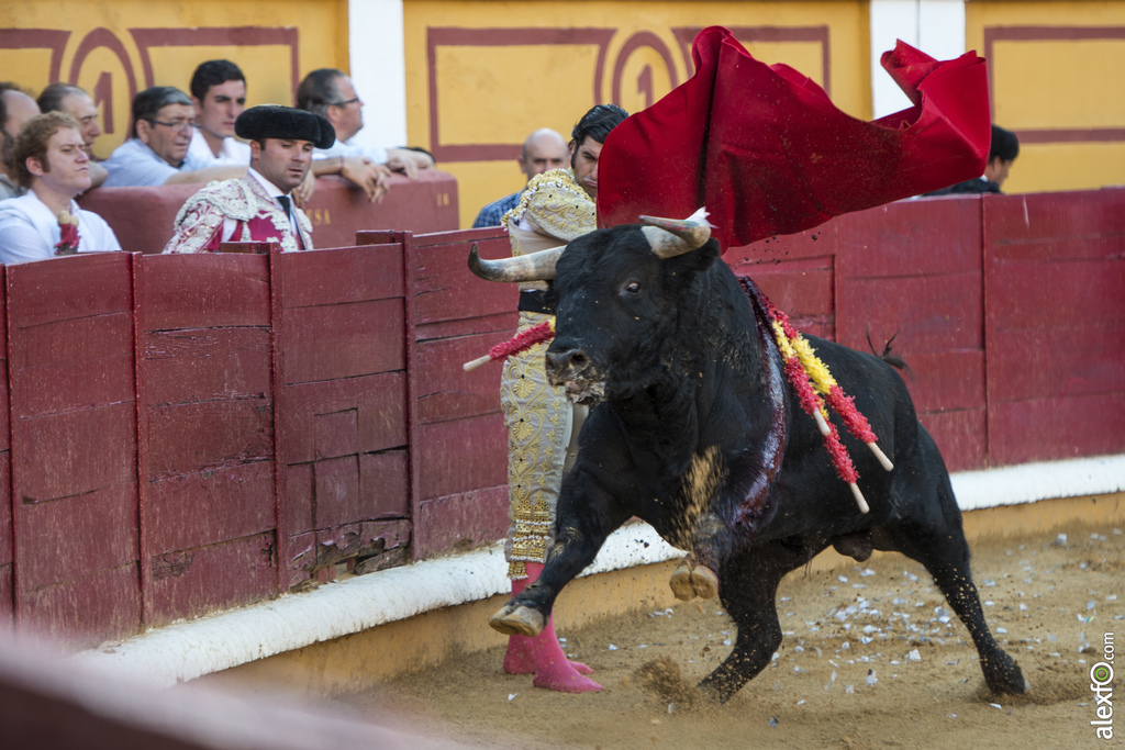 Morante, toros feria San Juan 2016 8