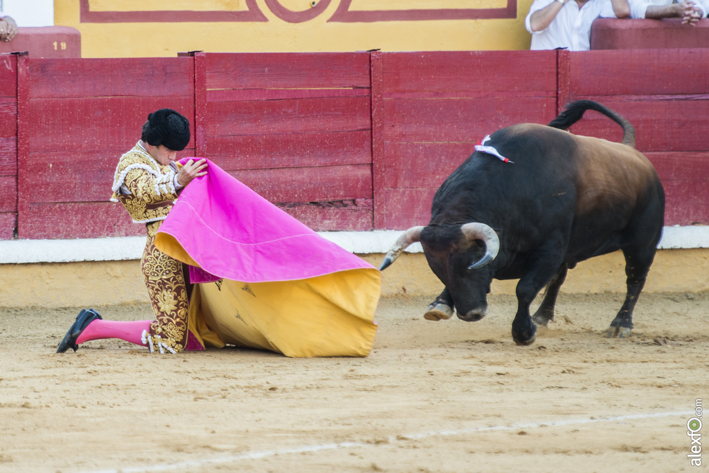 Garrido, toros San Juan 2016 2